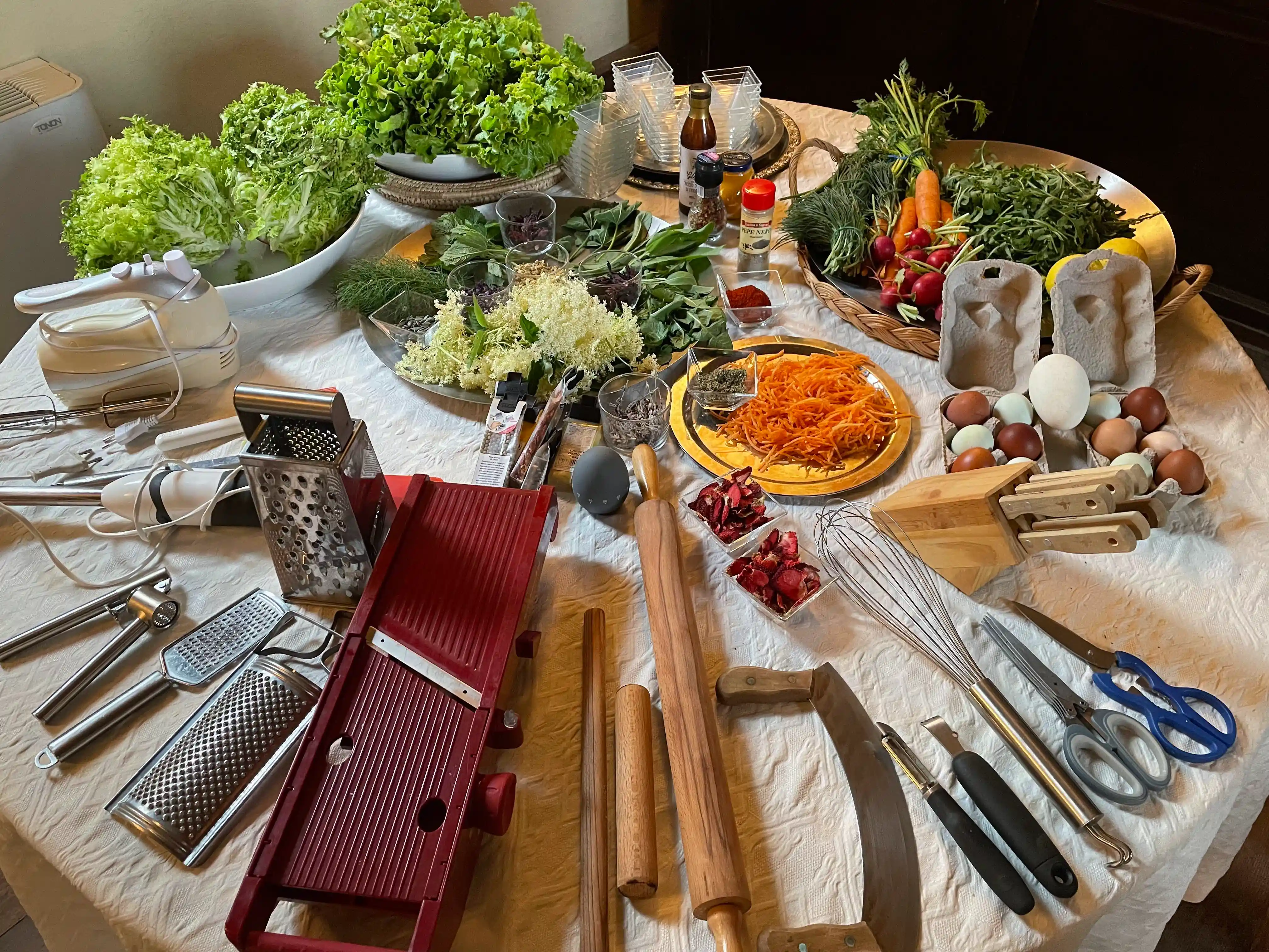 Traditional Italian trattoria dining experience